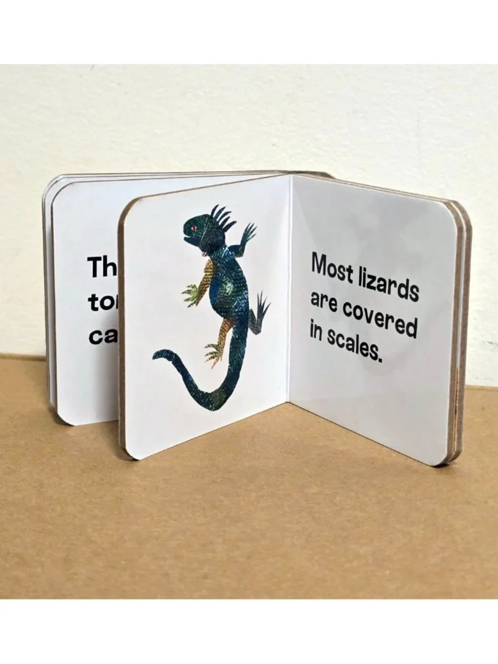 Eric Carle Set 5 Mini Board Books Animals + Math Giraffe Elephant Numbers Lizard